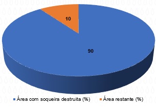 gráfico