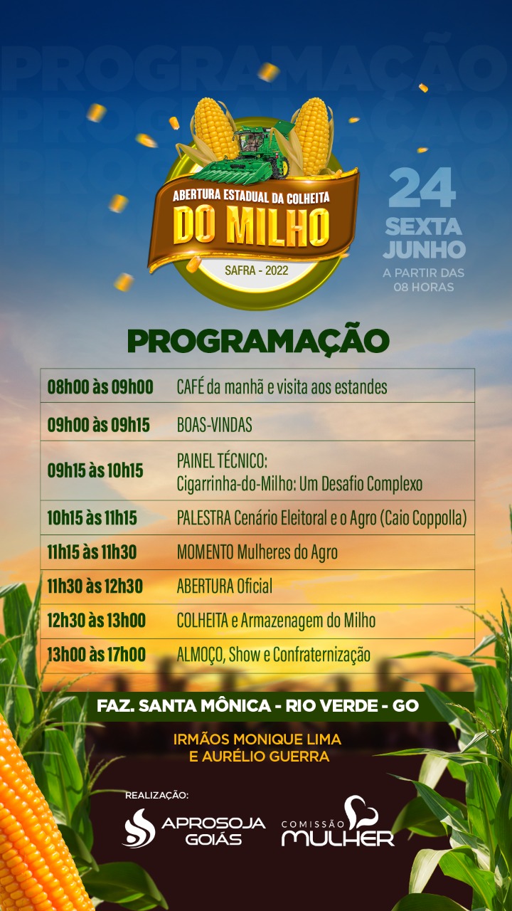 colheita do milho 22 2