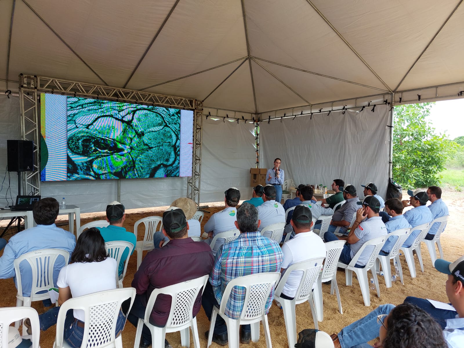 palestra lais no maranhão 10 11 22 2