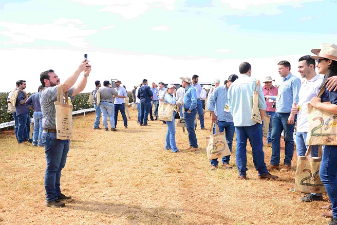 FOTO DIA DO ALGODAO 2023