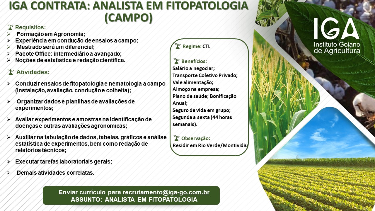 IGA CONTRATA ANALISTA EM FITOPATOLOGIA 04 9 23