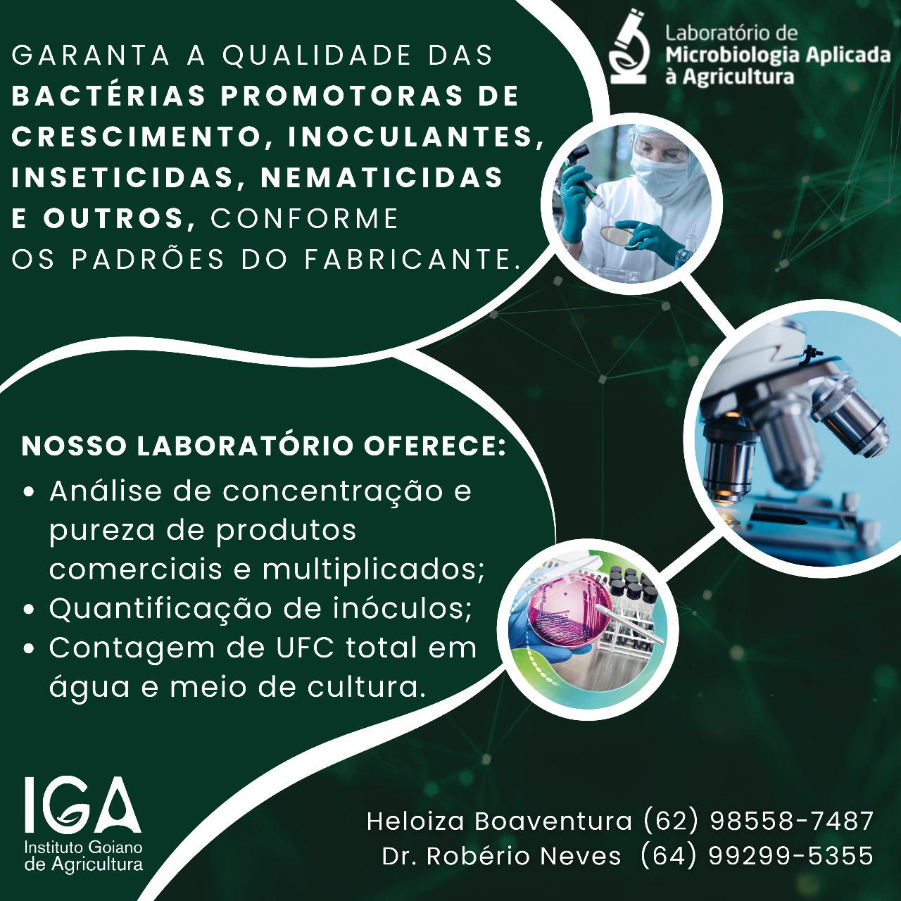 lab microbiologia bacterias 15 9 23 2