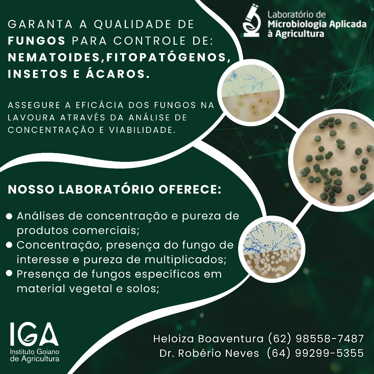 lab microbiologia fungos 18 9 23 3