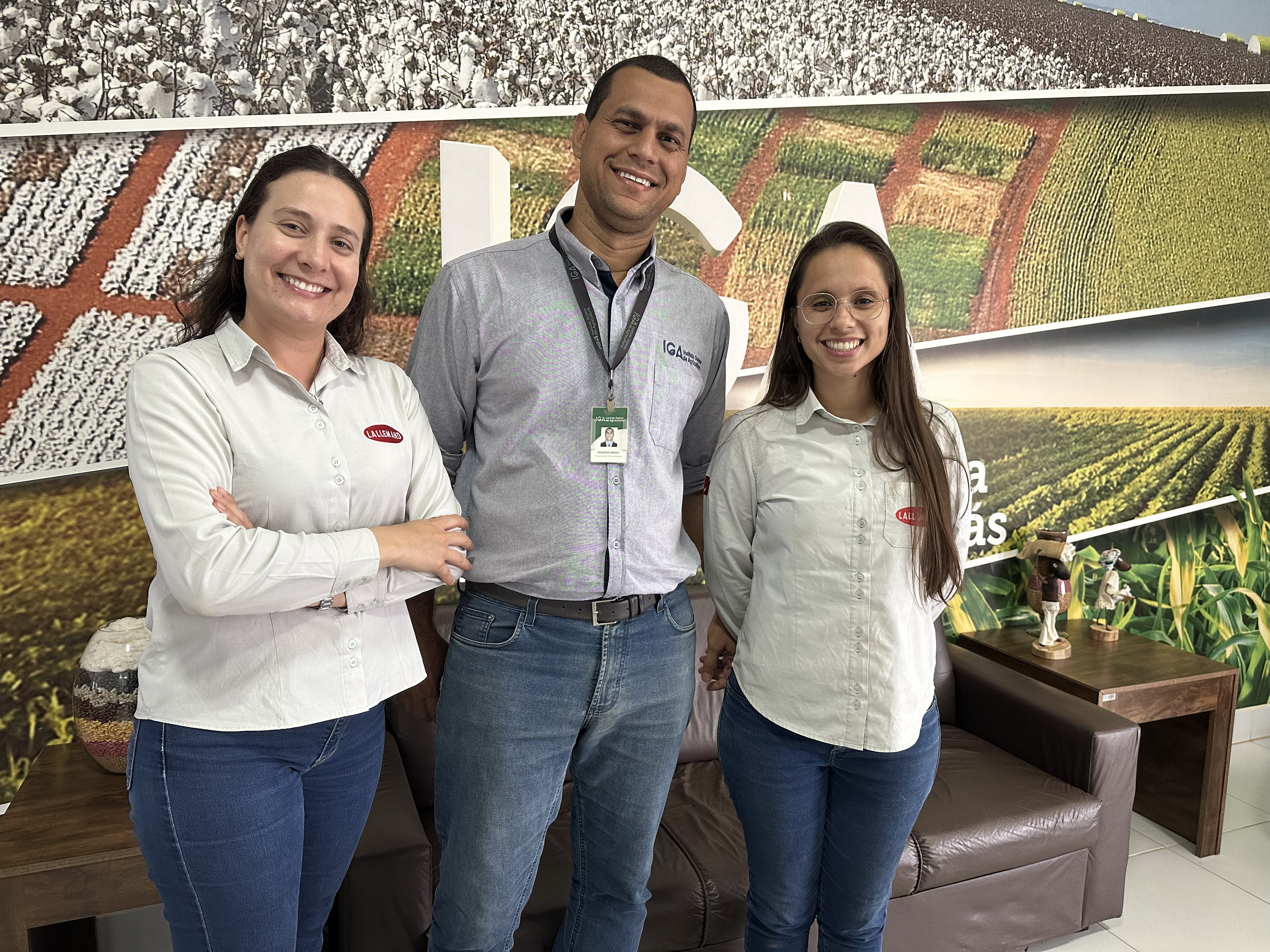 lallemand brasil