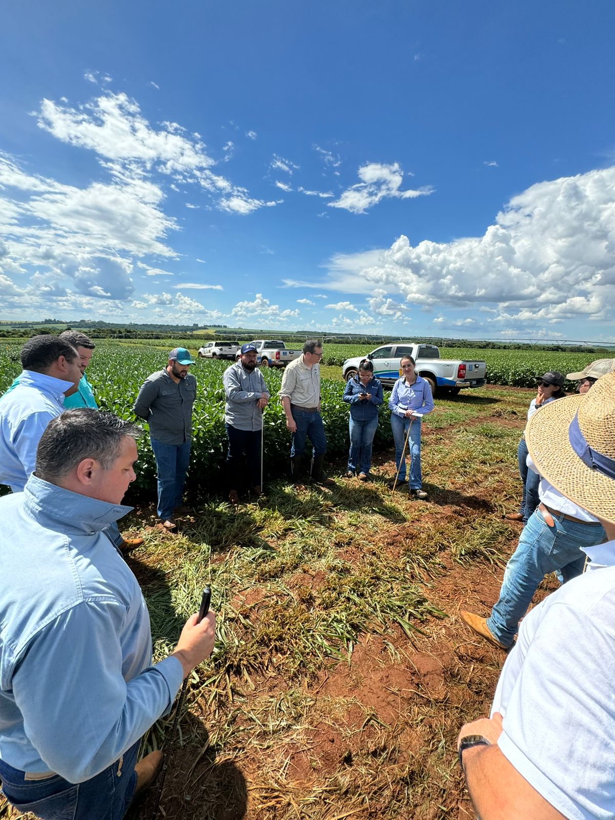 VISITA SYNGENTA NO IGA 18 1 24 1